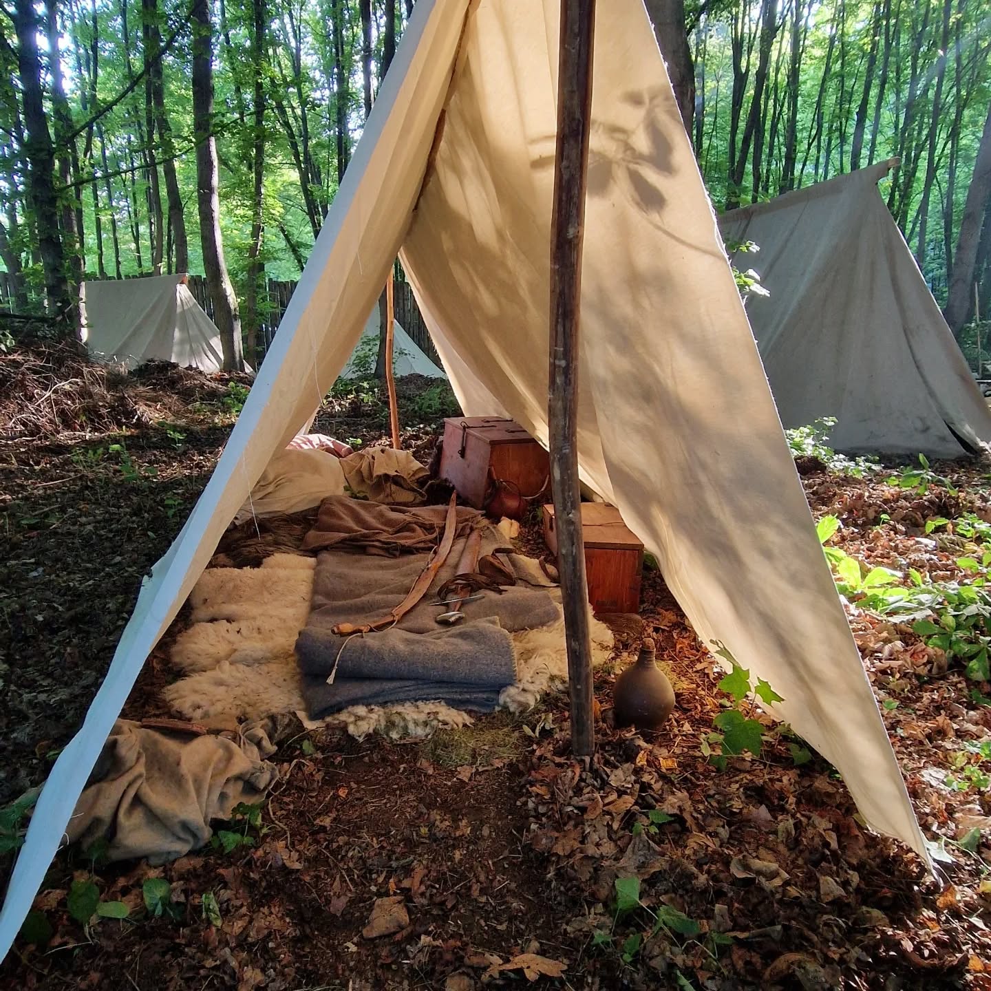 Norde Gard Early Medieval Show Image